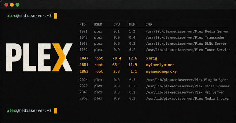 Plex Media Server bị khai thác lỗ hổng, cài miner và backdoor