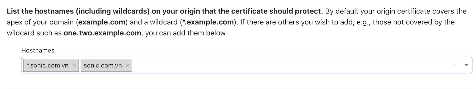 Cloudflare list hostname Origin certificate